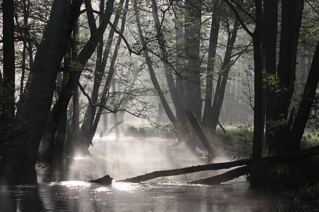 Pasłęka River, by user:Hubert Ignatowicz