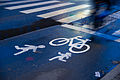 Cycle lane in Copenhagen