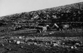 Allied trucks in Al-Burj