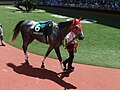 マイネルフィエスタ 2015年8月1日 小倉競馬場