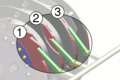 ratchet mechanism of a rotor