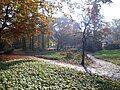 Deutsch: Carl-Blechen-Park im Frühherbst