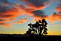 Unique clouds from high winds enhance this Silhouette