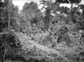 Australian forces patrolling in Wide Bay