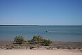 Gulf of Carpentaria