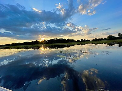 Thamalakane river, Maun, Botswana Photographer : User: Monamodi74