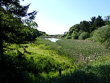 Langdalen (vest).jpg