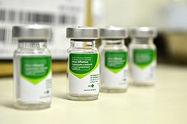 Vacina contra H1N1.jpg