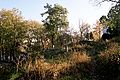 Cemetery in Mogilno