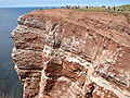 Breeding area of Common Murres and Northern Gannets on Helgoland