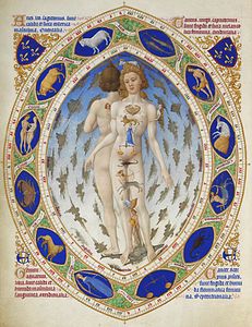 Frères de Limbourg (Herman, Paul et Jean) Anatomical Man