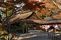 Yoshimizu-jinja / 吉水神社 (World Heritage Site)