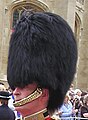 Bearskin hat more images...