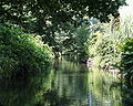 Ein Kanal im Spreewald