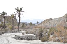 Tabernas 01.JPG