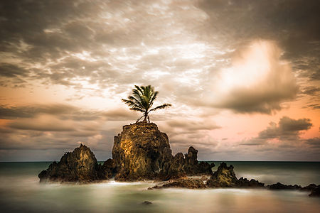 Tambaba beach - Paraíba Dante Laurini Jr