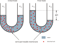 An example of osmosis: water passing through a semi-permeable membrane to create an isotonic environment