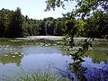 ein See im Spreewald