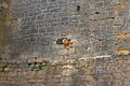 1897) Boulet dans un mur, château de Beynac, Dordogne. 18 août 2013