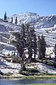 Emigrant Wilderness, California