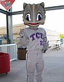 TCU's Superfrog