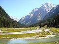 Forest, Karakol Valley, Issyk Kul Province, Kyrgyzstan