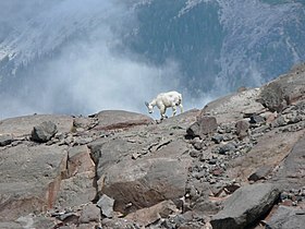 Mount Rainier National Park