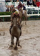 "MidnightLuteBreedersCupSprint2007.jpg" by User:Cassettestrain