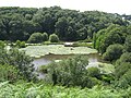 Vue sur le parc du Vallon du Stang-Alar depuis le conservatoire botanique national de Brest