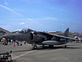 AV-8B Harrier II on Friendship Day in MCAS Iwakuni