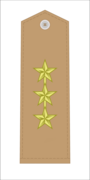 FADH Colonel.png