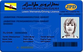 Bruneian Driving Licence.jpg