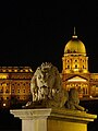 Magyar: A Lánchíd kőoroszlánja a budai várral English: Stone lion of the Chain Bridge with the Buda Castle in the background