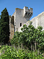 Detail of the castle of Tarascon