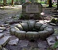 Spring of the Ohře below Schneeberg mountain