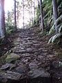 Kohechi (Kumano Kodō) / 熊野古道小辺路 (World Heritage Site)