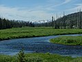 Lewis River Valley in July