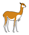 Vicuña standing.svg