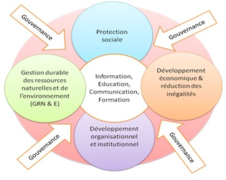 Domaines d'intervention globale.png