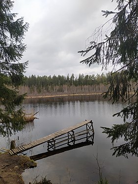 Lake Maly Bolcyk in Narachanski National Park. Photograph: Эдита1974