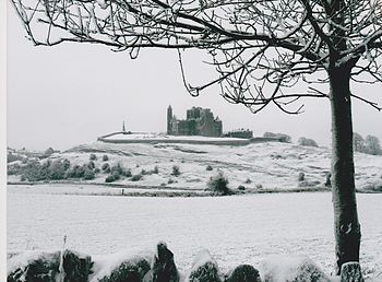 Rock of Cashel Photograph: Deemaykay Licensing: CC-BY-SA-4.0