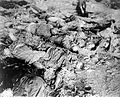 Dead workers lie in uneven rows on floors of barracks, found by American 3rd Armored Div., FUSA when it captured the German slave labor camp at Nordhausen