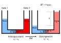 Hydraulic pressure created by osmosis