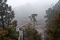 Kohananoego Wetland, Yakushima