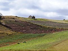 Lake Tota papa.JPG