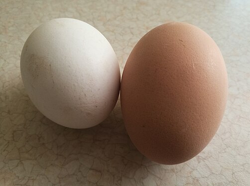 Chicken eggs