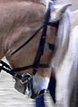 A Kimberwicke bit looks like a snaffle, but has very slight leverage due to slots that hold reins in position.