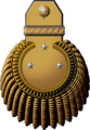 Epaulette