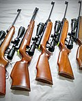 Thumbnail for File:Airrifle Collection.jpg