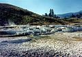 Mammoth Hot Springs